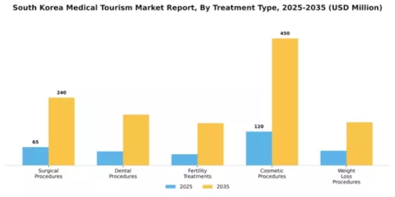 South Korea Medical Tourism Market Segment Image 3