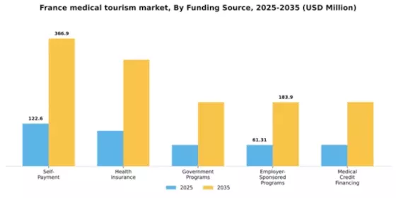 France Medical Tourism Market Segment Image 0