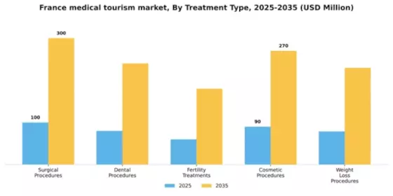France Medical Tourism Market Segment Image 3