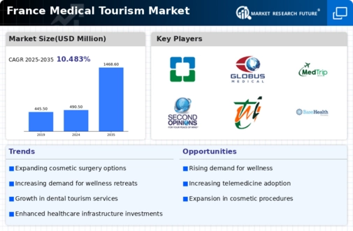 France Medical Tourism Market Infographic