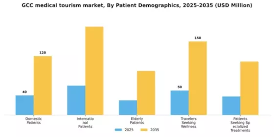 GCC Medical Tourism Market Segment Image 1