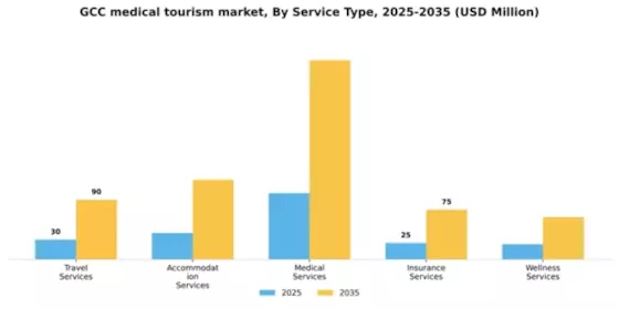 GCC Medical Tourism Market Segment Image 2