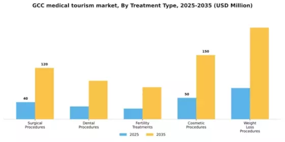 GCC Medical Tourism Market Segment Image 3