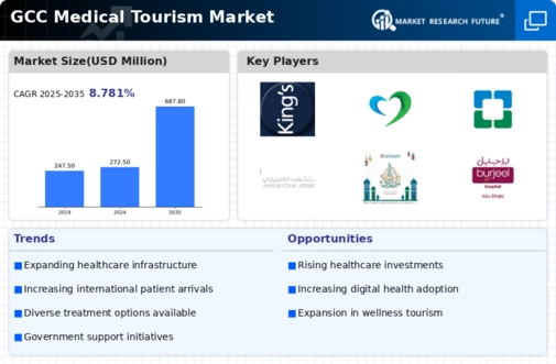 GCC Medical Tourism Market Infographic