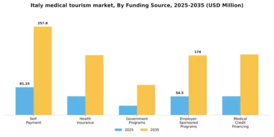 Italy Medical Tourism Market Segment Image 0