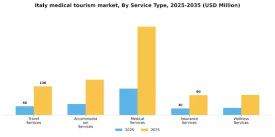 Italy Medical Tourism Market Segment Image 2