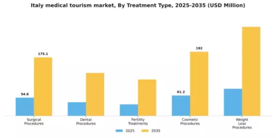 Italy Medical Tourism Market Segment Image 3