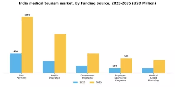 India Medical Tourism Market Segment Image 0