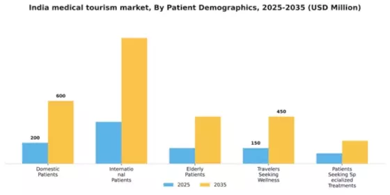 India Medical Tourism Market Segment Image 1