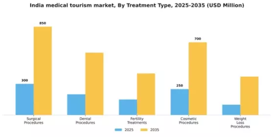 India Medical Tourism Market Segment Image 3