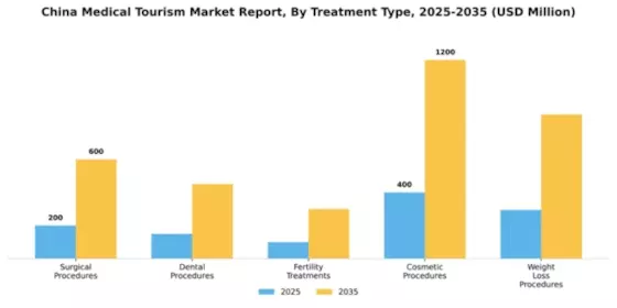 China Medical Tourism Market Segment Image 3
