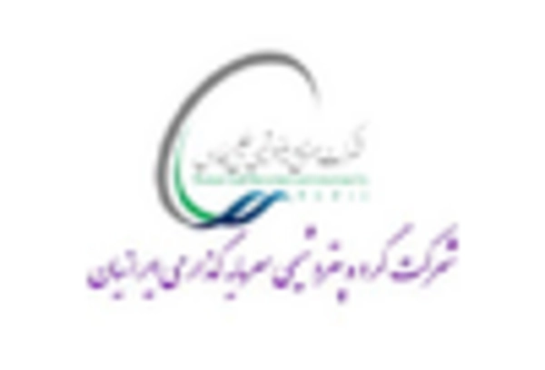 China Bunker Fuel Market key player