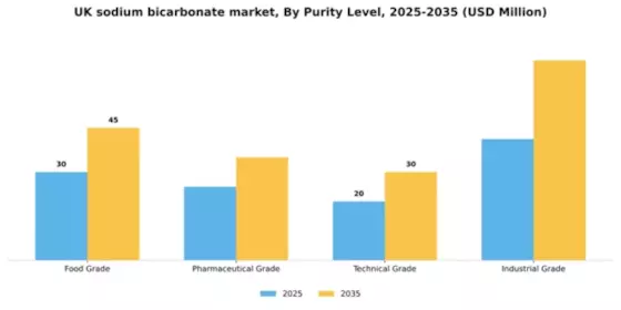 UK Sodium Bicarbonate Market Segment Image 3
