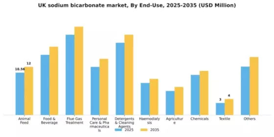 UK Sodium Bicarbonate Market Segment Image 0