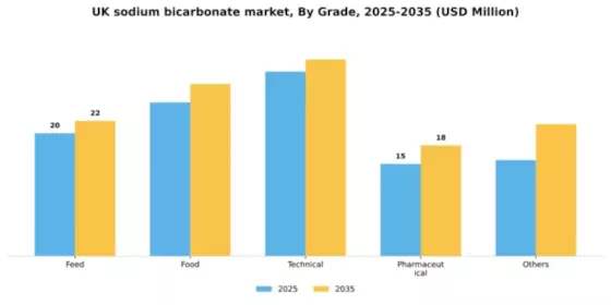 UK Sodium Bicarbonate Market Segment Image 1