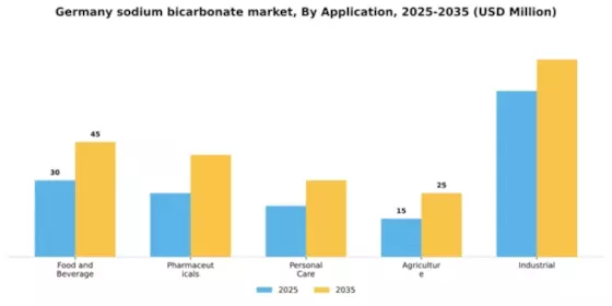 Germany Sodium Bicarbonate Market Segment Image 0