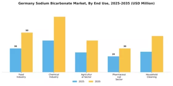 Germany Sodium Bicarbonate Market Segment Image 2