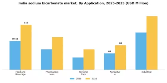 India Sodium Bicarbonate Market Segment Image 0