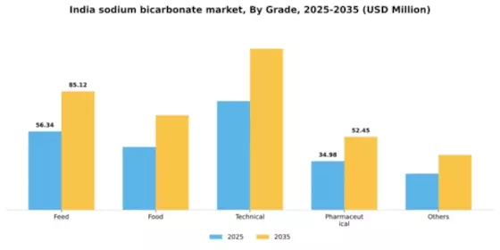 India Sodium Bicarbonate Market Segment Image 1
