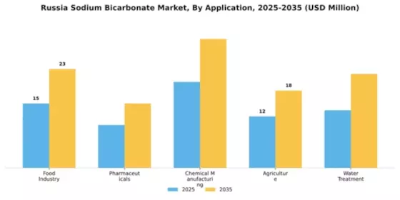 Russia Sodium Bicarbonate Market Segment Image 0