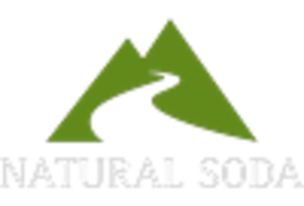 Russia Sodium Bicarbonate Market key player