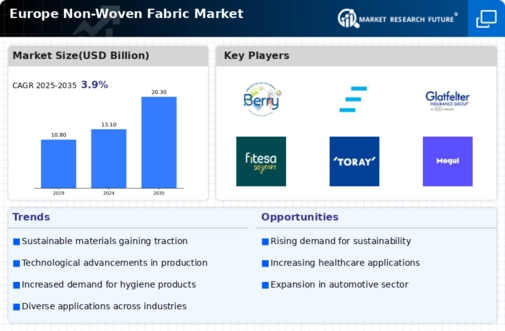 Europe Non Woven Fabric Market Infographic