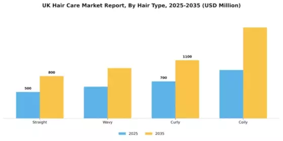 UK Hair Care Market Segment Image 2