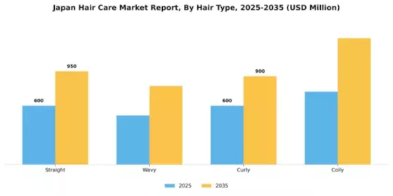 Japan Hair Care Market Segment Image 2