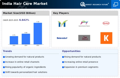 India Hair Care Market Infographic