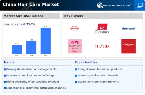 China Hair Care Market Research Report — Forecast till 2035 Infographic