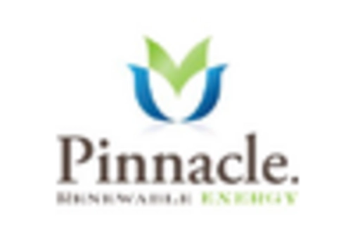 Europe Biomass Pellets Market key player