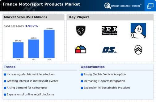 France Motorsport Products Market Infographic