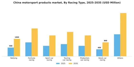 China Motorsport Products Market Segment Image 0