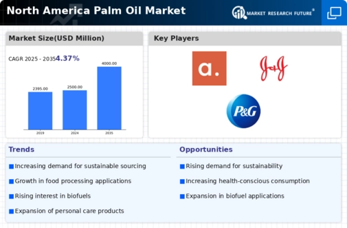 North America Palm Oil Market Infographic