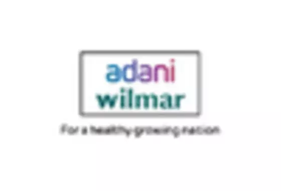 India Palm Oil Market key player