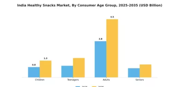India Healthy Snacks Market Segment Image 0