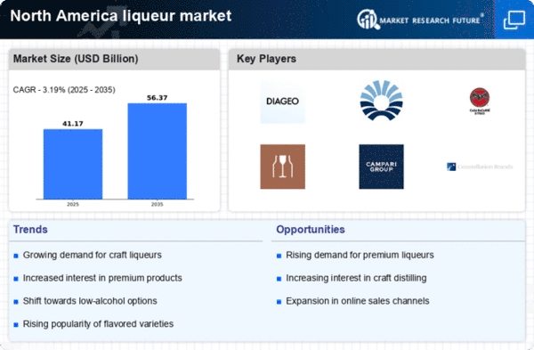 North America Liqueur Market Infographic