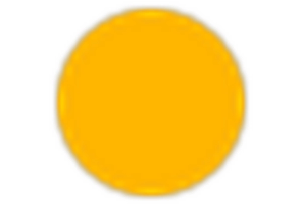 China Mayonnaise Market key player