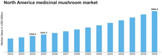 North America Medicinal Mushroom Market Size