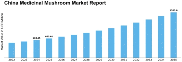 China Medicinal Mushroom Market Size