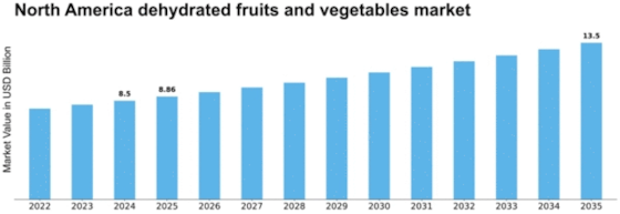North America Dehydrated Fruits Vegetables Market Size