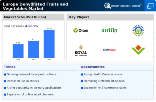 Europe Dehydrated Fruits & Vegetables Market Infographic