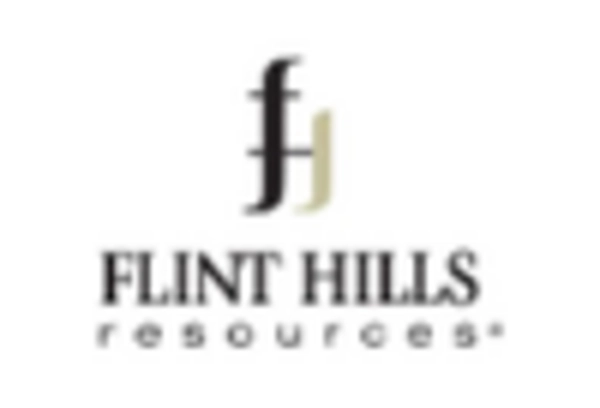 Brazil Ethanol Market key player