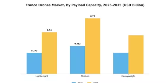 France Drones Market Segment Image 4