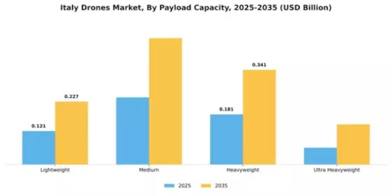 Italy Drones Market Segment Image 3