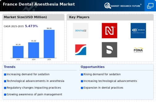 France Dental Anesthesia Market Infographic