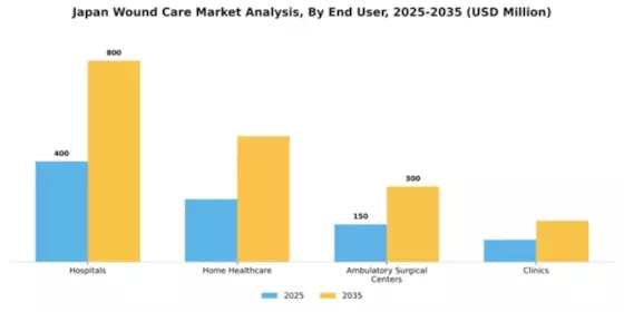 Japan Wound Care Market Segment Image 1