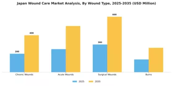 Japan Wound Care Market Segment Image 3
