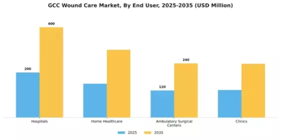 GCC Wound Care Market Segment Image 1