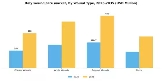 Italy Wound Care Market Segment Image 3